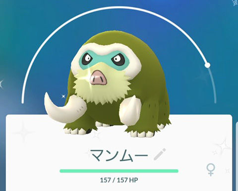 マンムー対ラティ0