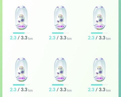10km卵ゴミ0