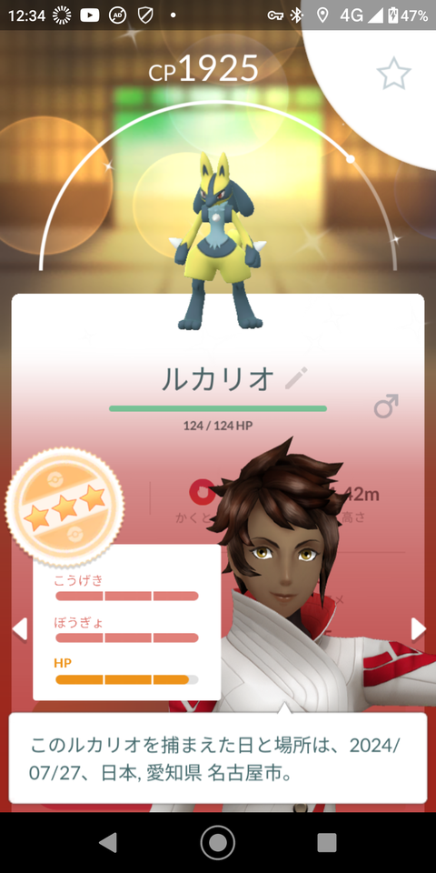 メガルカリオ色FFF完1