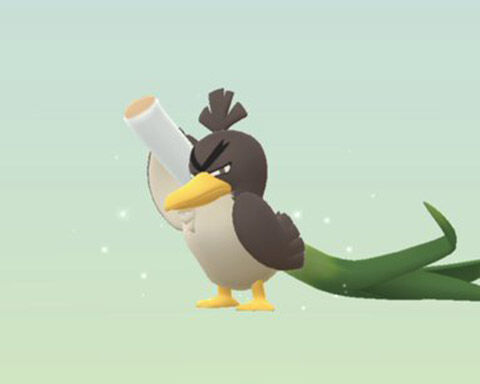 7km卵ガラルカモ0