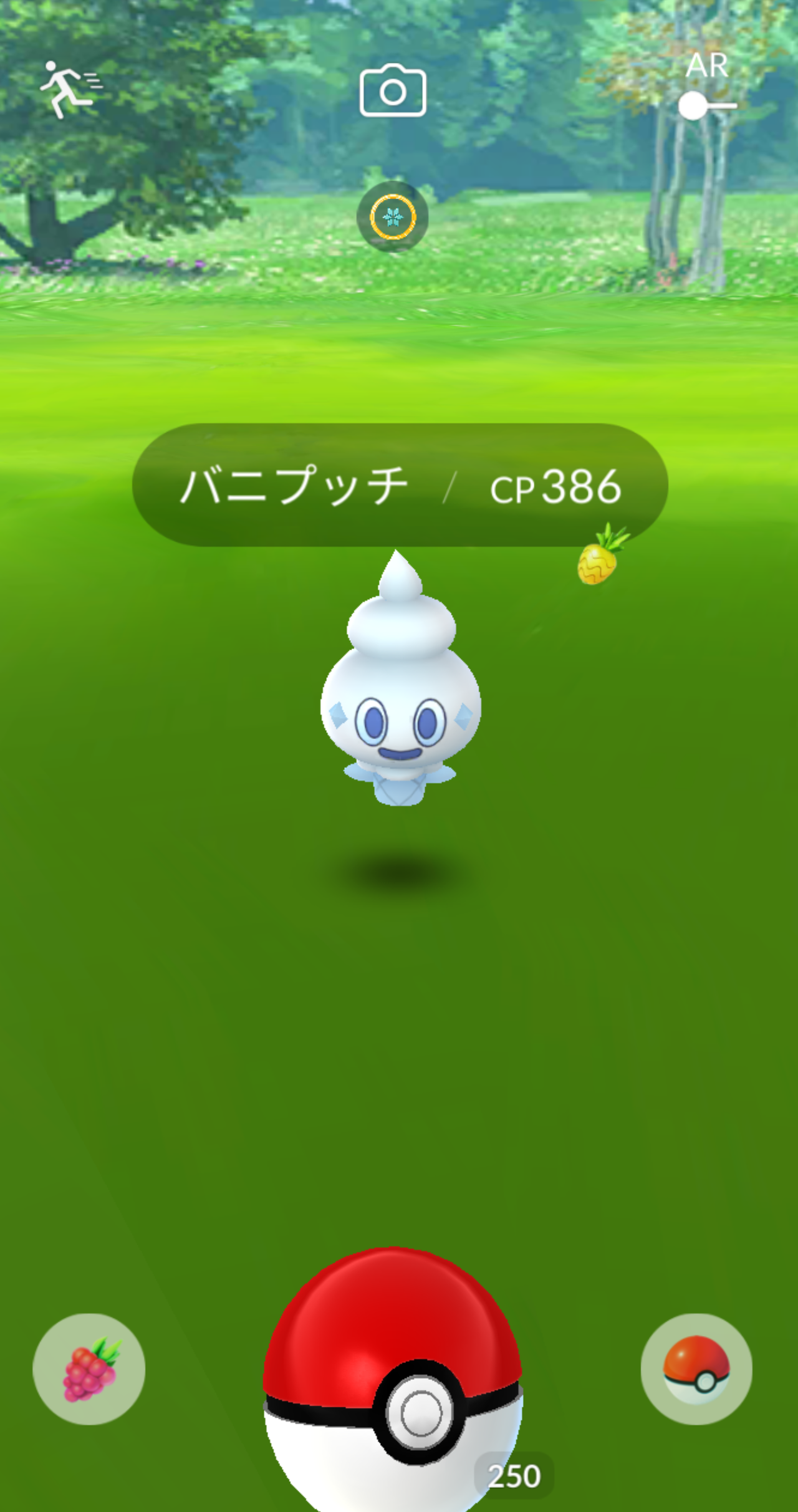 バニプッチのサークルww伝説並みの捕獲率かなこれww ポケモンgo速報まとめ バニプッチのサークルww伝説並みの捕獲率かなこれww ポケモンgo速報まとめ