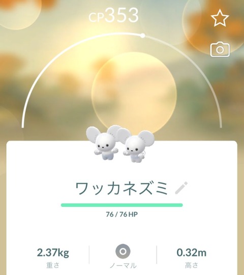 団欒ワッカネズミ3匹出1