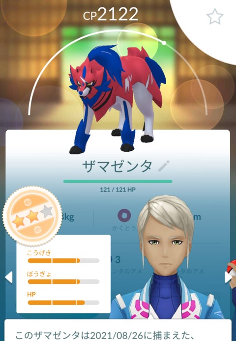 ザマゼンタ伝説成果2