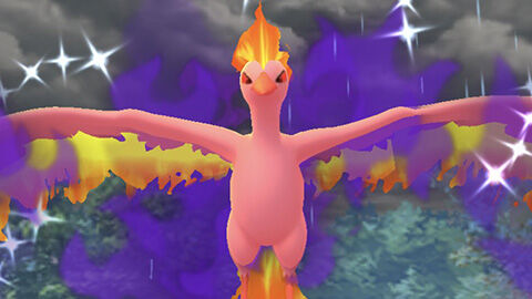 色Sファイヤー0