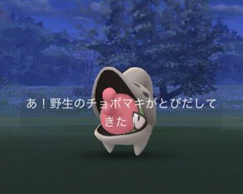 雨チョボマキ0