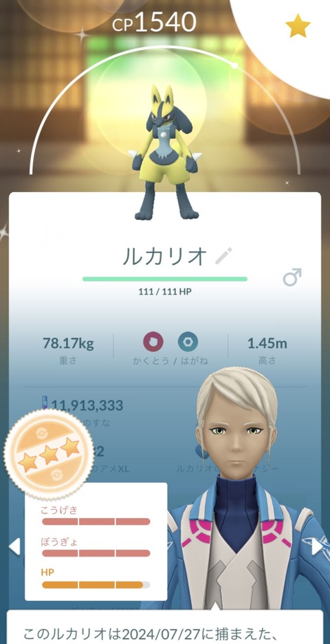 鋼定ルカリオ対策ジム1