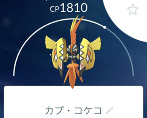 フェアリーでんきってｗｗカプ コケコって活躍出来るの ポケモンgo速報まとめ