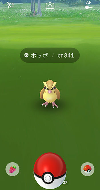 色違いヒノアラシでた12