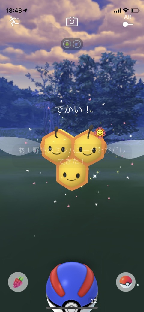 SV野生ゾロア1
