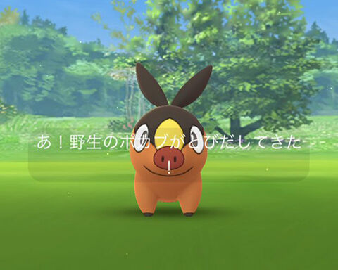 排出率上がってる ポカブのコミュニティデイは家にいながら色違いでるかな ポケモンgo速報まとめ 排出率上がってる ポカブのコミュニティデイは家にいながら色違いでるかな ポケモンgo速報まとめ