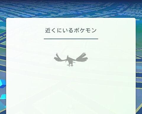 Qmmdxqv1axhwim