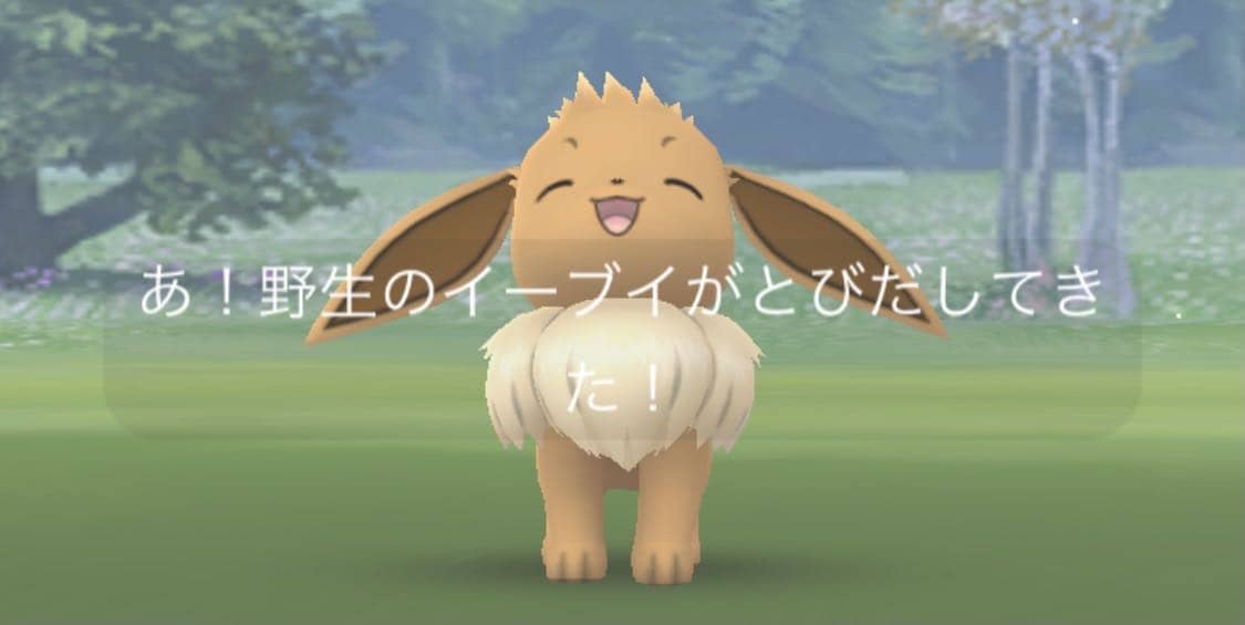 プロトレーナーは違うなｗｗなんでイーブイ捕まえる前にオスメス分かるの ポケモンgo速報まとめ
