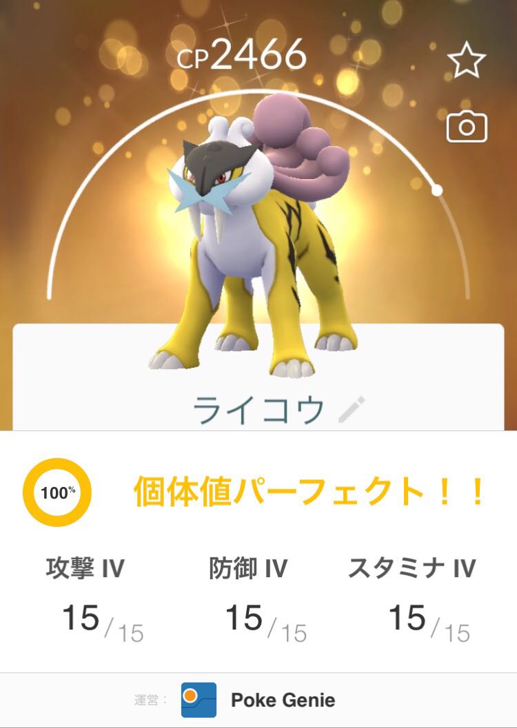 ポケモンgo 厳選はここからが本番 ライコウ色違いキラ100 の夢を追いかけるぞ ポケモンgo速報まとめ