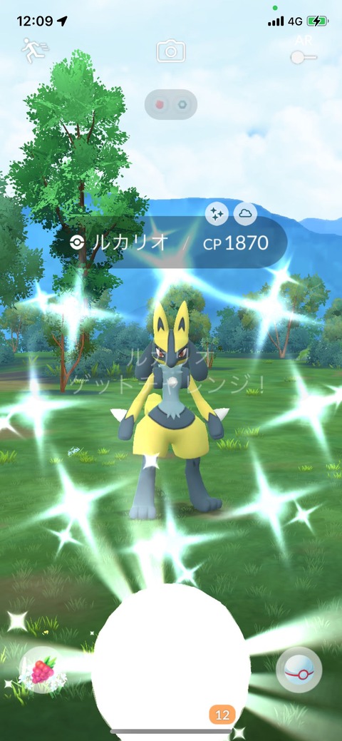 メガルカリオ色率無1
