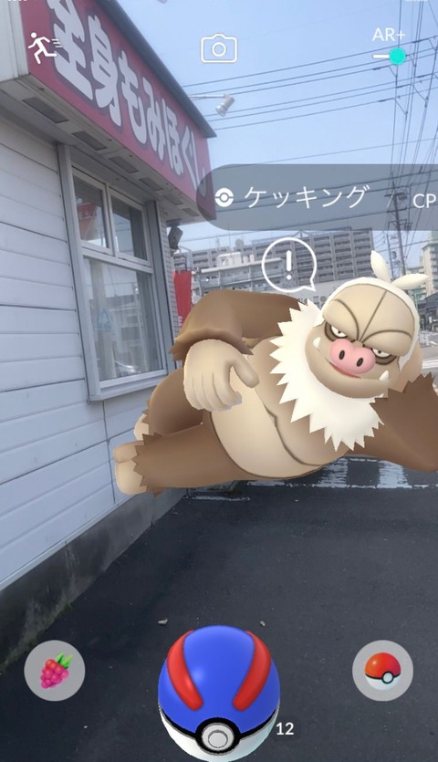 ポケカ収穫長来無4