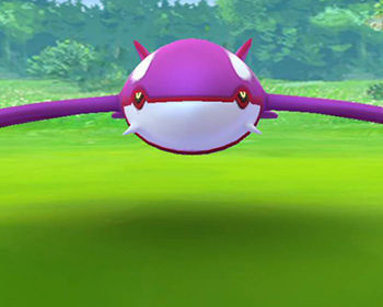 去年の冬カイオーガ0