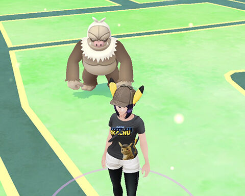 フレが相棒をケッキングにしてるんだが理由が本気で気になるwww ポケモンgo速報まとめ フレが相棒をケッキングにしてるんだが理由が本気で気になるwww ポケモンgo速報まとめ