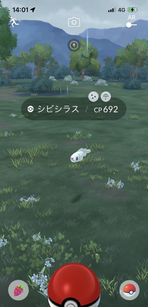 CD色シビシラス分無1