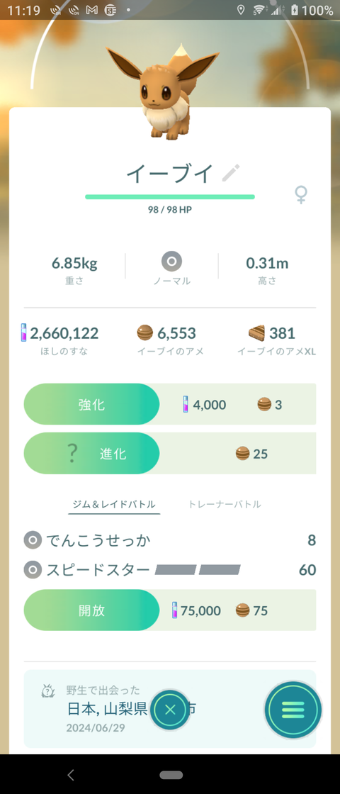 8th色イーブイ帽子2