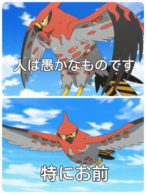 ザルード運用5