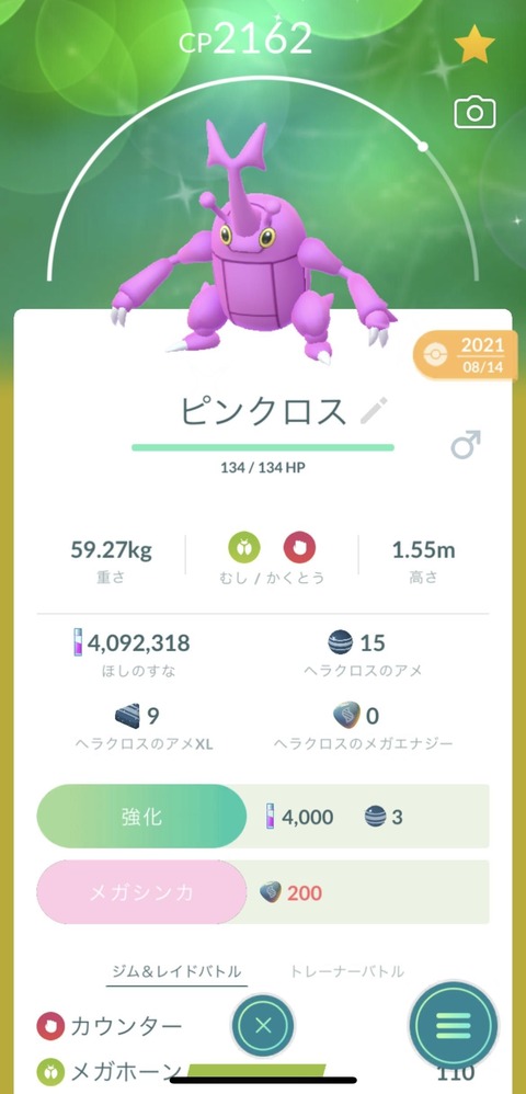 色ヘラクロス自慢1