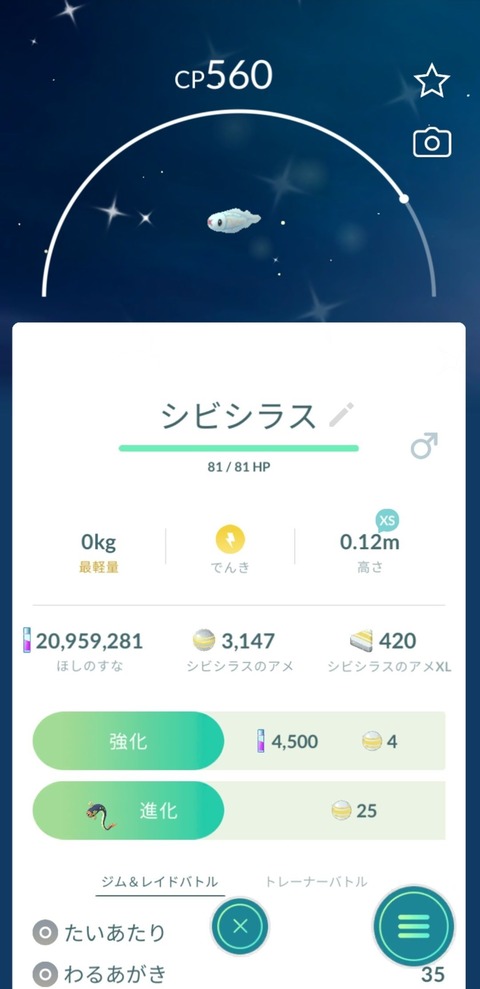 シビルドン御披露目3