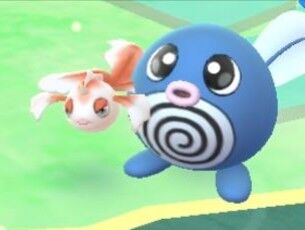 オイオイオイｗ野生でニョロモとトサキントが湧いてるなｗｗ ポケモンgo速報まとめ