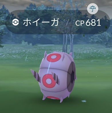 野生見焦2