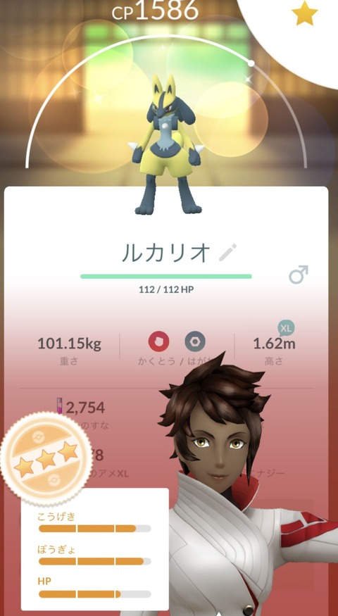 メガルカリオ色率無2