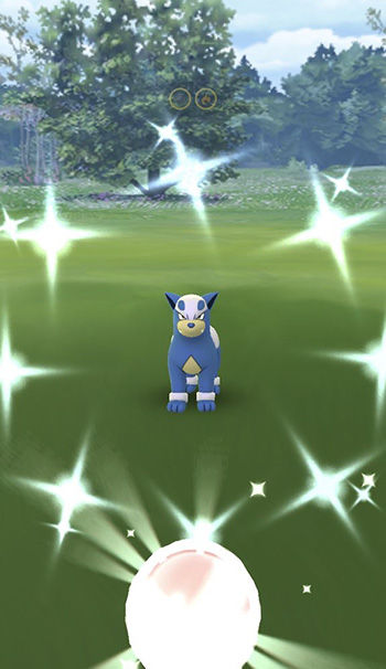 ポケモンgo デルビルとブルーの色違い本当に存在してるのか ポケモンgo速報まとめ