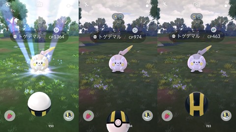 鋼定トゲデマル色多1