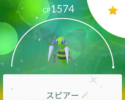 CDビードル進強化0