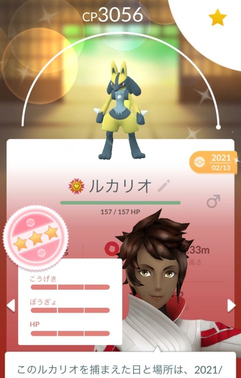 メガルカリオ色FFF完3