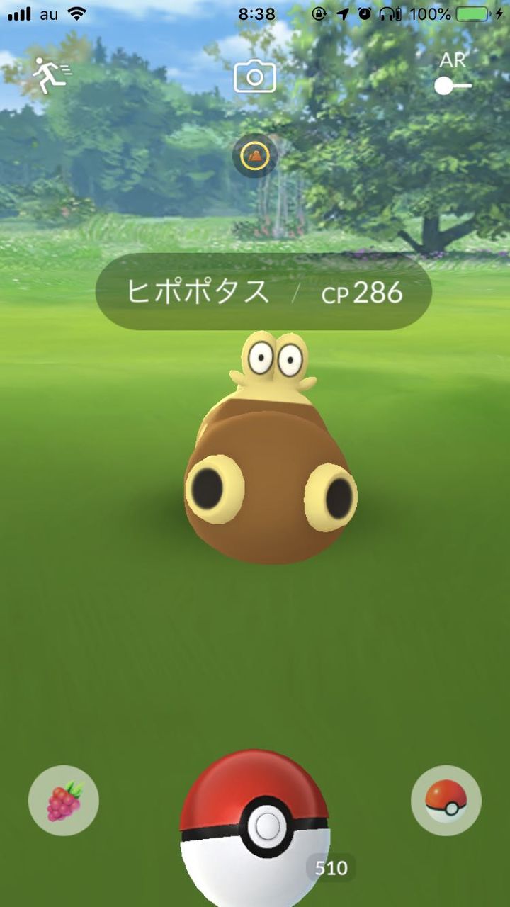 ポケモンgo シンオウはほぼ実装か うちの近くの巣がヒポポタスになった ポケモンgo速報まとめ ポケモンgo シンオウはほぼ実装か うちの近くの巣がヒポポタスになった ポケモンgo速報まとめ