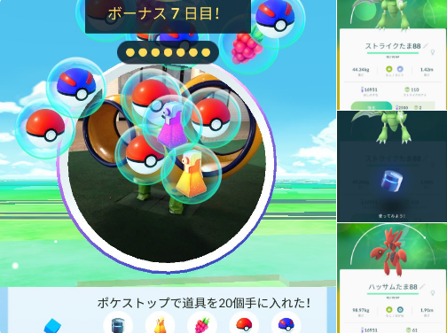 家禽 サドル 感度 ポケ Go メタル コート スキニー 荒廃する 砂