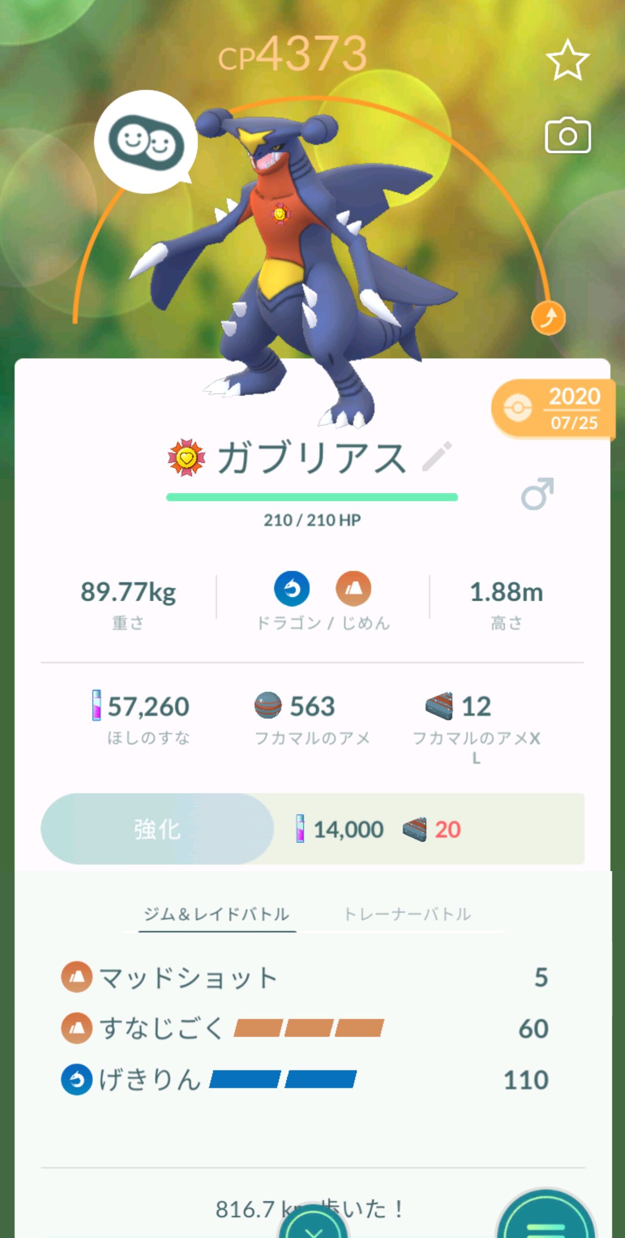 これはメガガブリアス解禁だなｗｗ遂にこいつがムキムキになる時が来たなｗｗ ポケモンgo速報まとめ