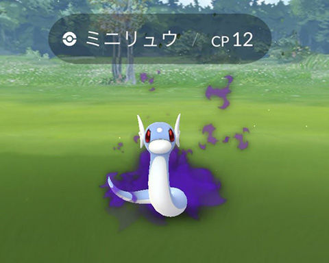 来た このシャドウミニリュウはそのまま育てた方がかっこいいやつ