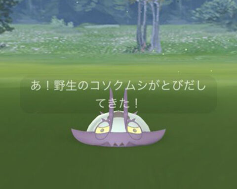 ポケカ逃コソクムシ000