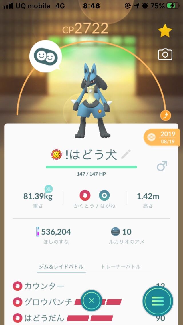 これが 1レベルなのかな ルカリオが最高の相棒になったｗｗｗ ポケモンgo速報まとめ