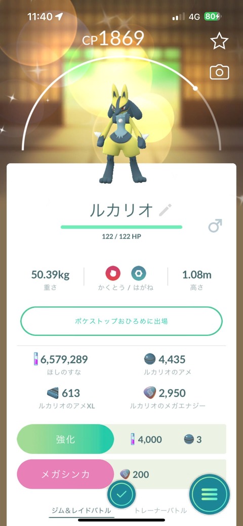 メガルカリオ色招待1