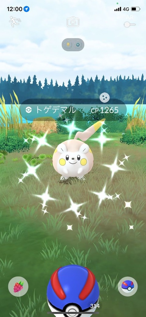 鋼定トゲデマル色来2