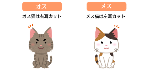 ザマゼンタ見目2