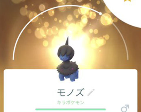 今日はキラ100 自慢してもいいのか このモノズ育てられるかなｗｗ ポケモンgo速報まとめ