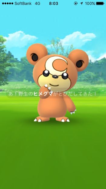 ポケモンgo ヒメグマについて色々聞きたい ポケモンgo速報まとめ