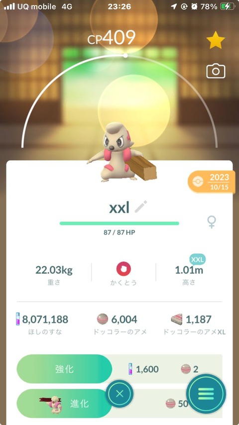 AW占拠Sドッコラー専1