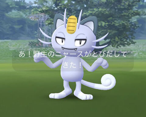 色違いアローラニャースは手に入ったかい スポットライトアワーの収穫ｗｗ ポケモンgo速報まとめ