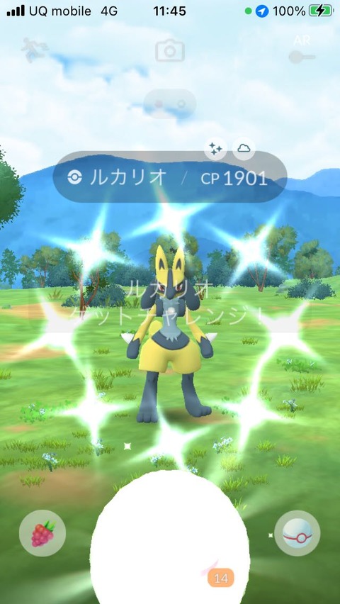 メガルカリオ色出4