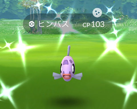 ヒンバス色違余裕0