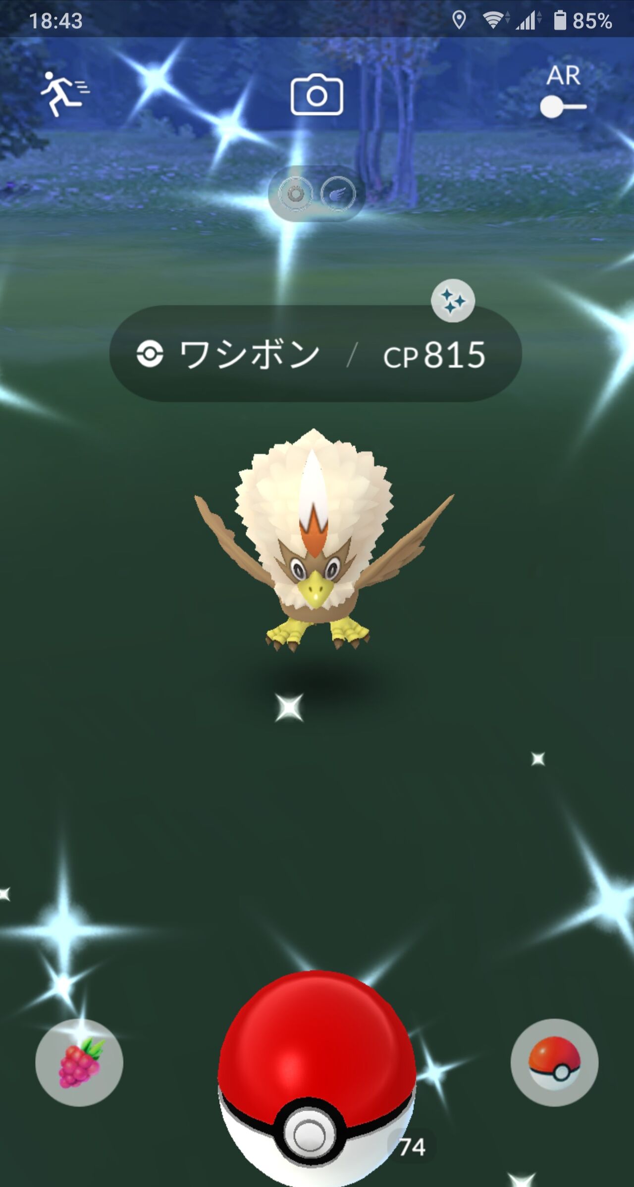 今回も泥沼なの 前回のワシボン色違いは地獄のような確率だったらしいがww ポケモンgo速報まとめ 今回も泥沼なの 前回のワシボン色違いは地獄のような確率だったらしいがww ポケモンgo速報まとめ