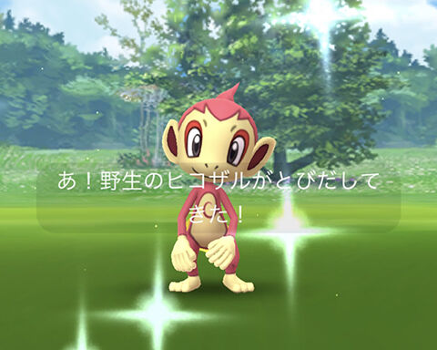 CD猿やる気使無0